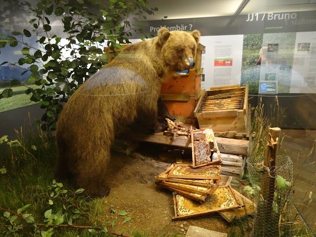 musée de l'Homme et de la Nature de Munich